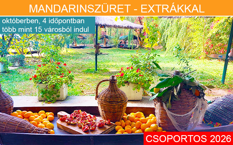 MANDARINSZÜRET